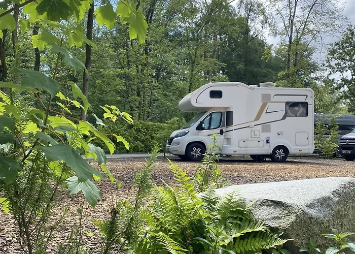 Hotel pres du College: Camping Vliegenbos